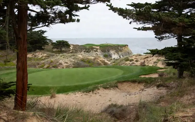 Golf green framed by pine trees with a sandy waste area in front of it.