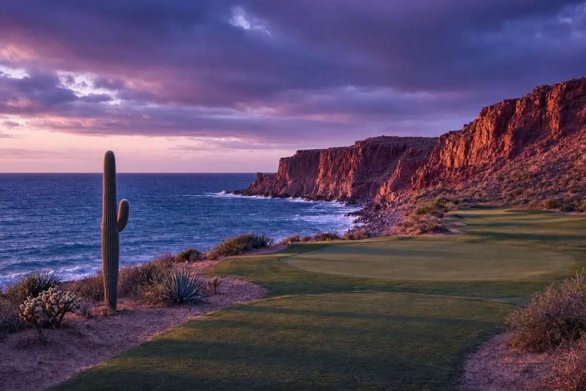 Desert coastal golf course at dusk in Baja California with cactus, rocky cliffs and the Pacific Ocean