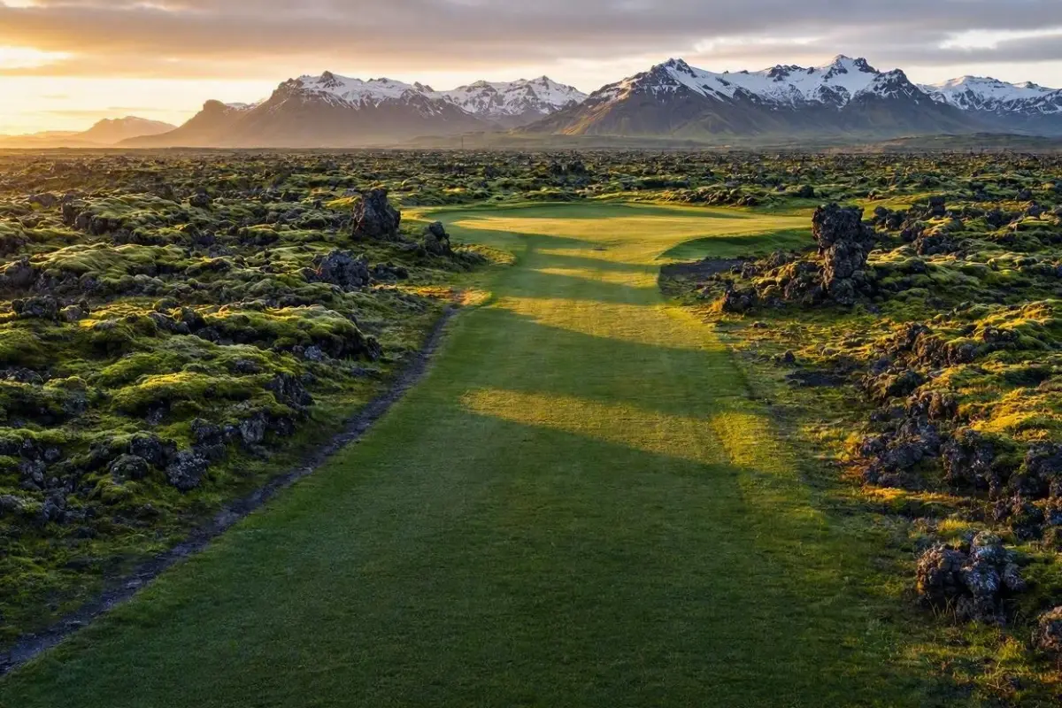Golf course laid out across a lava field in Iceland under low golden midnight-sun light with mountains behind